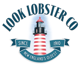 Look Lobster Co. Maine